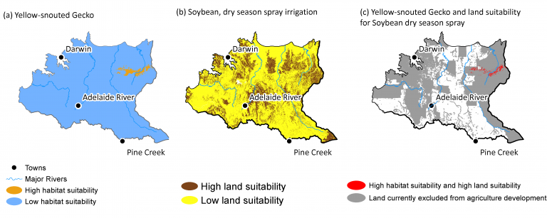 Habitat suitability for gecko