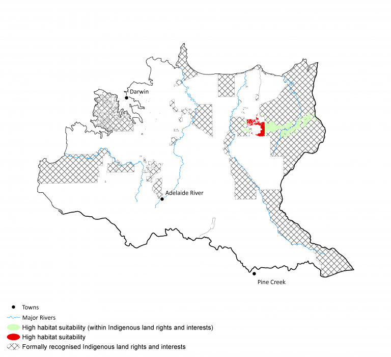 Intersection of Indigenous land rights and Yellow-snouted Gecko