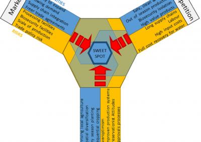 Investment sweet spot for insight 2 - diverse development pathways