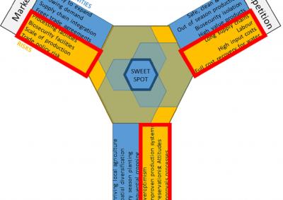 Investment sweet spot for insight - failing fast can be a good outcome