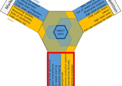 Investment sweet spot for insight - containing risks of failure