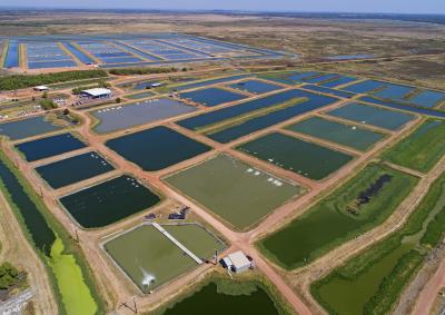 Aquaculture ponds, NT (CSIRO)