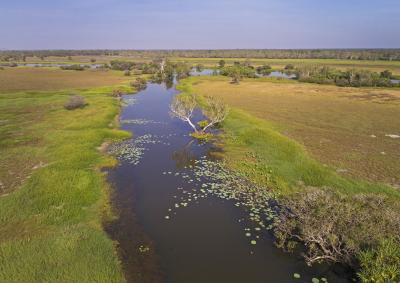Darwin floodplains, NT (N Dwyer)