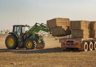 Hay harvesting, NT (CSIRO)