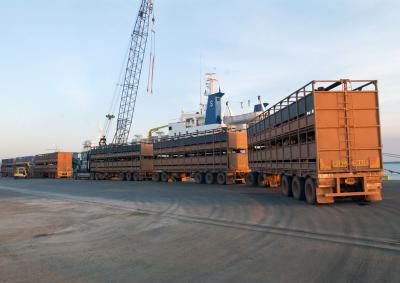 Road train, Darwin, NT (DoEE)