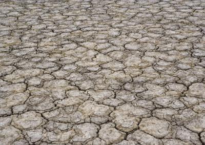Close up of the dried mud area of the Mutton Hole wetland area in Normanton just prior to the wet season