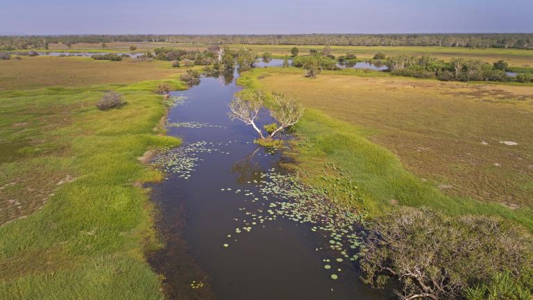 Darwin floodplains, NT (N Dwyer)
