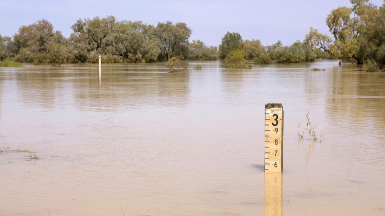 Thomson Rover flood, QLD (DoEE)
