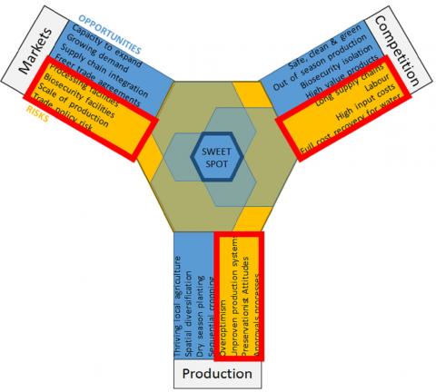Investment sweet spot for insight - failing fast can be a good outcome