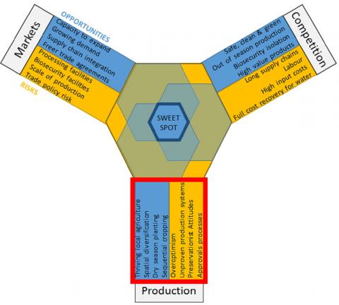 Investment sweet spot for insight - containing risks of failure