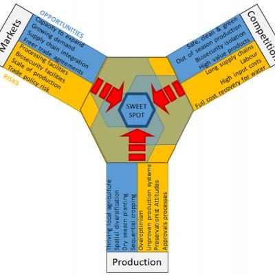 Investment sweet spot for insight 2 - diverse development pathways