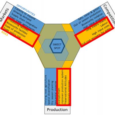 Investment sweet spot for insight - failing fast can be a good outcome
