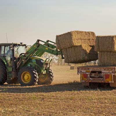 Hay harvesting, NT (CSIRO)