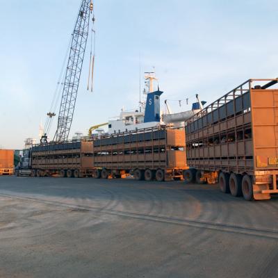Road train, Darwin, NT (DoEE)
